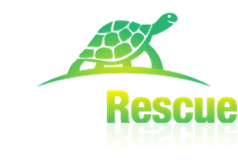 Official Turtle Rescue T-Shirt | Turtle Rescue NZ