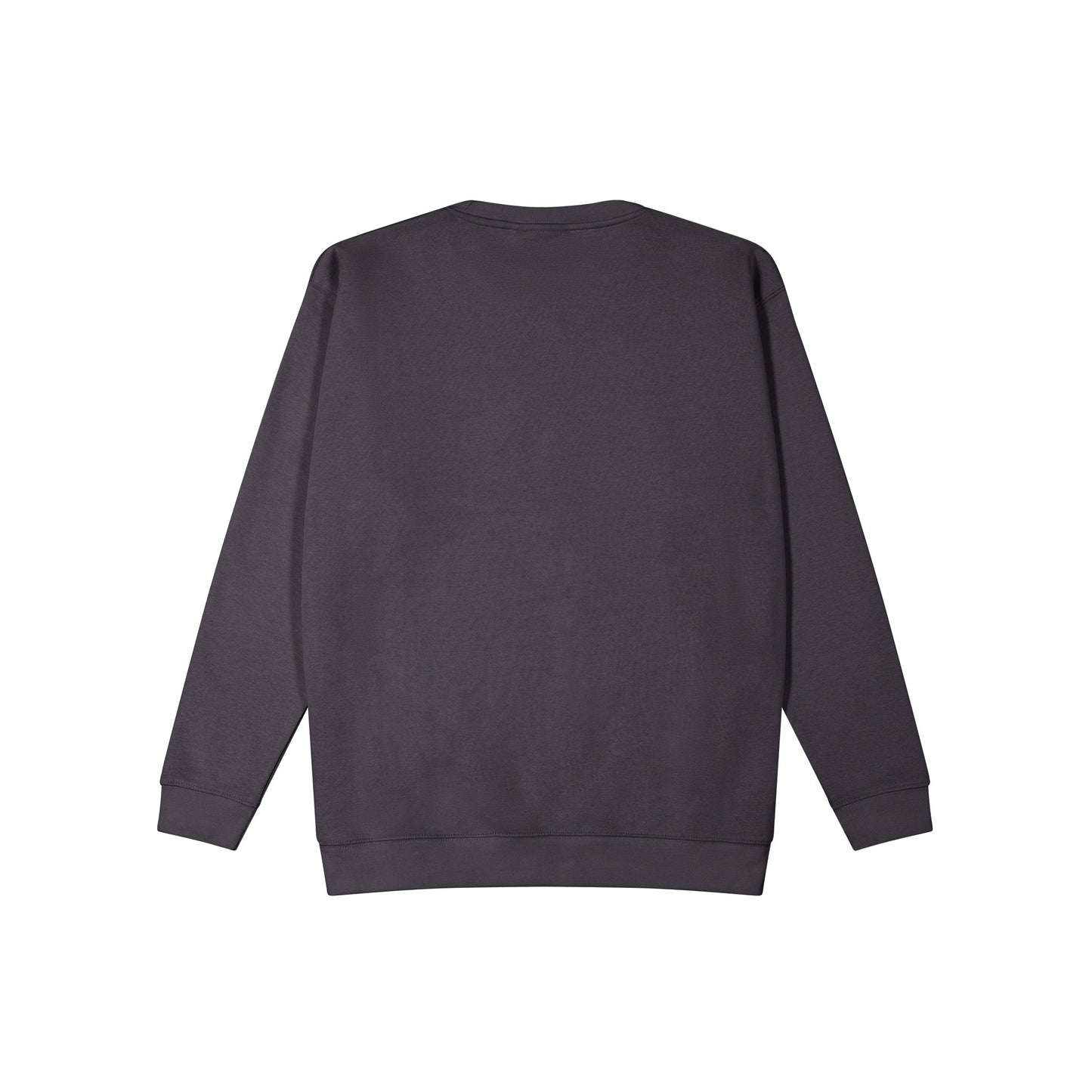 Crew Standard Neck Sweatshirt / Jersey