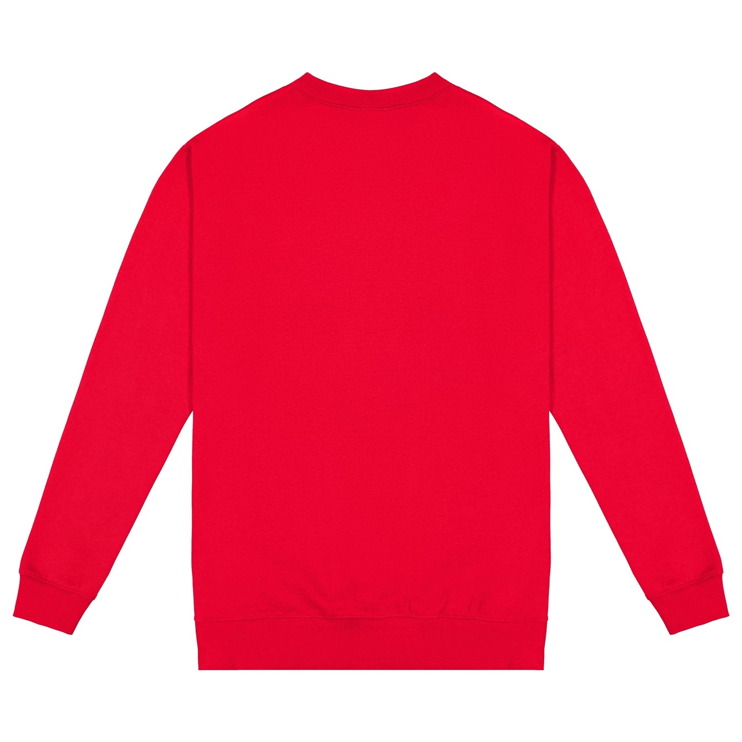 Crew Neck Sweatshirt / Jersey